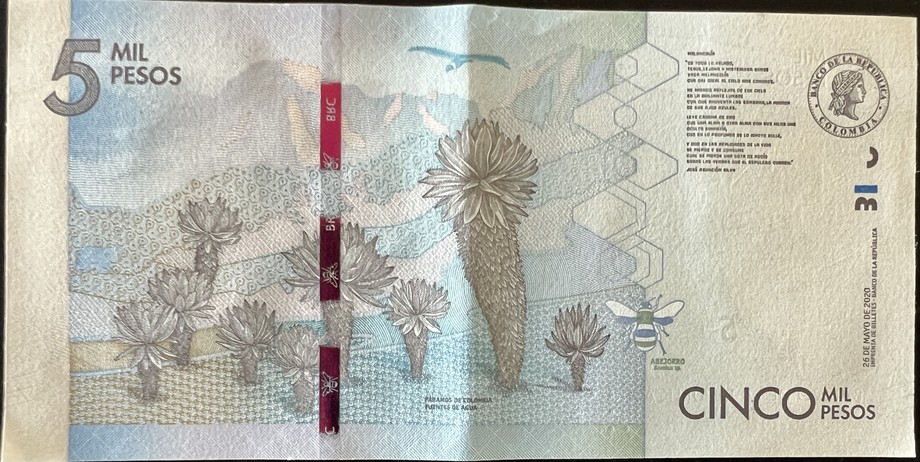 Colombia 5000 Peso, back
