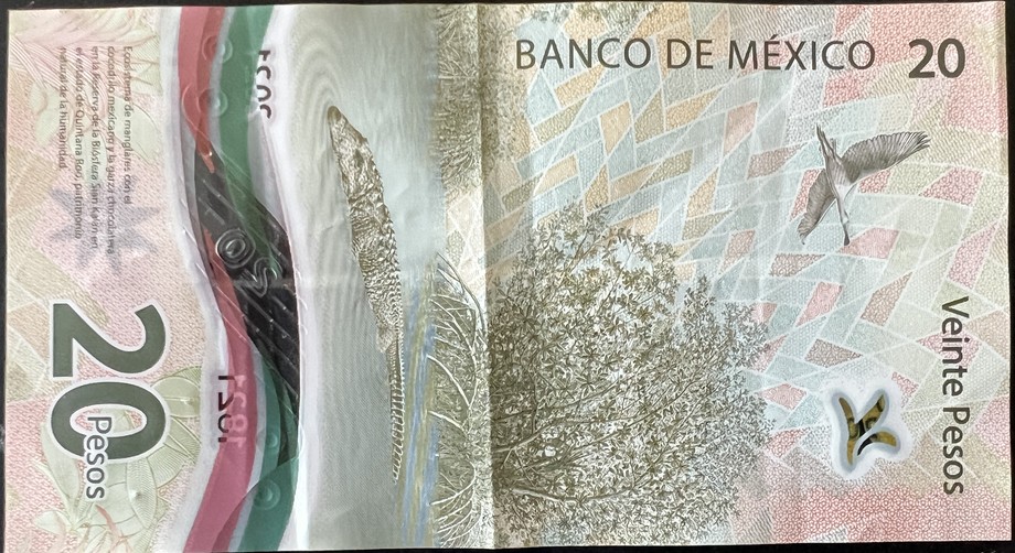 Mexico 20 Peso, back