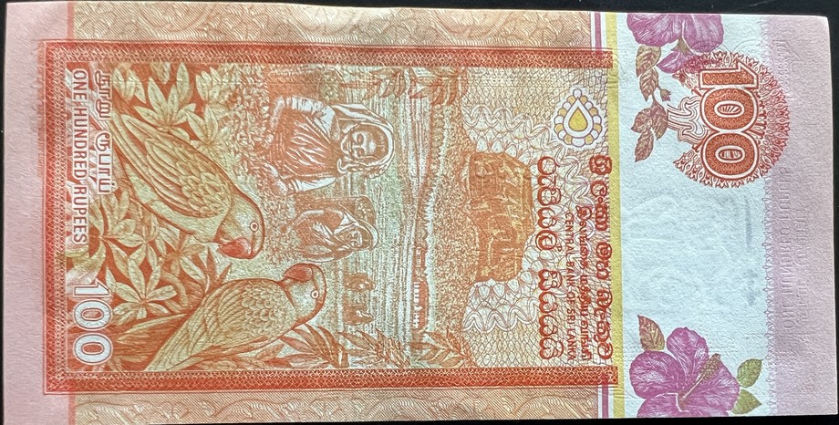 Sri Lanka 100 Rupee, back