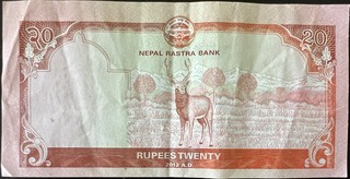 Nepal 20 Rupee, back