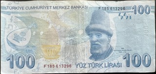 Türkiye 100 Lira, back