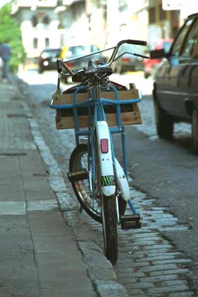 Photo 31