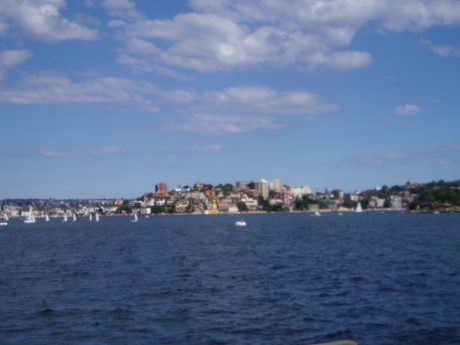 Photo 43