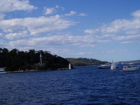 Photo 44