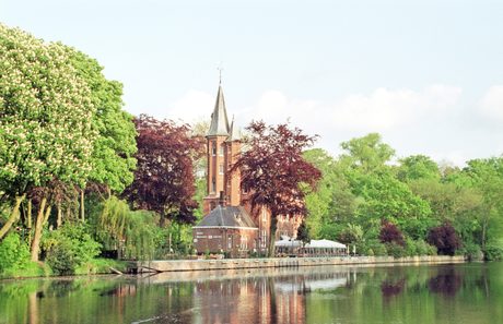 Photo 19