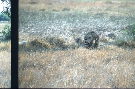 Photo 190