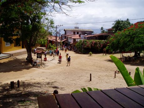 Photo 20