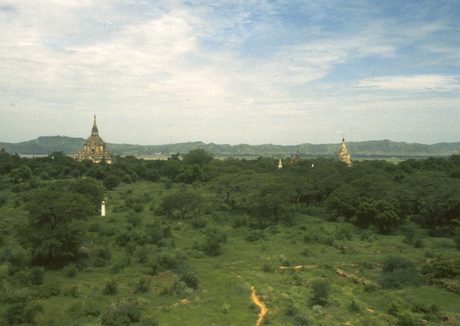 Photo 27