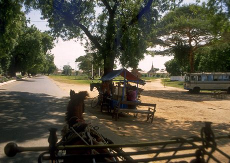 Photo 47
