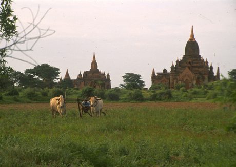 Photo 48