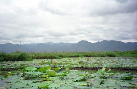 Photo 31