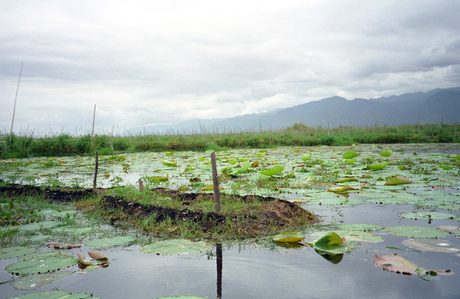 Photo 32