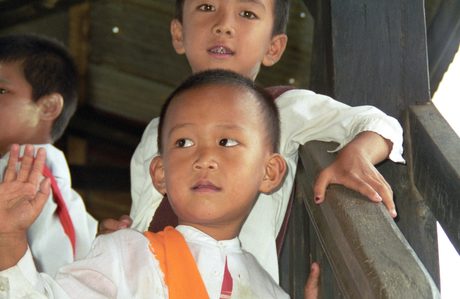 Photo 41