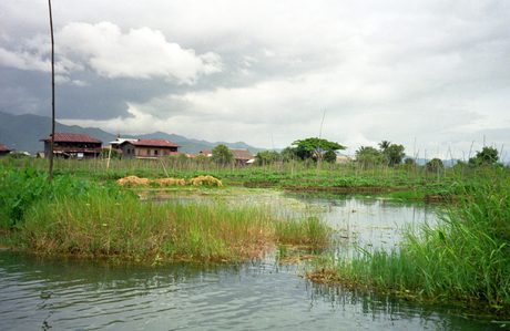 Photo 43