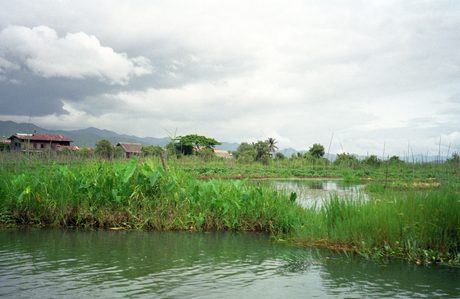 Photo 46