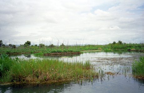 Photo 47