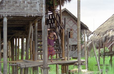 Photo 48
