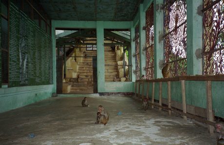Photo 9