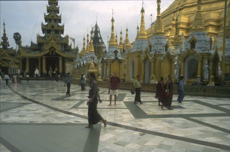 Photo 23