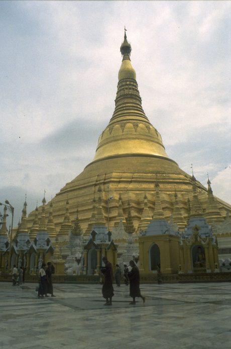 Photo 25