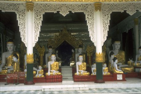 Photo 31