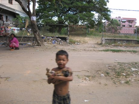 Photo 463