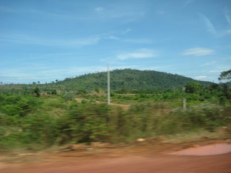Photo 235