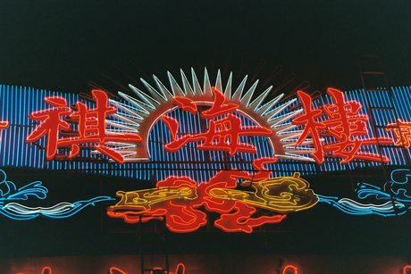 Photo 44