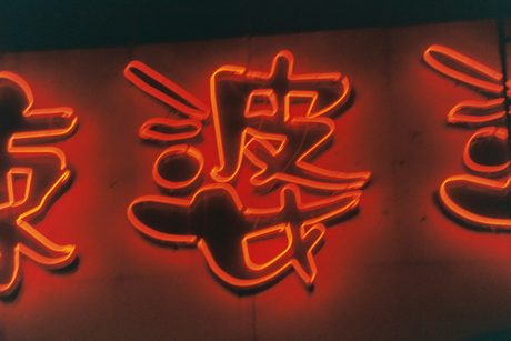 Photo 45