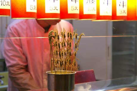 Photo 25