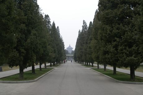 Photo 35