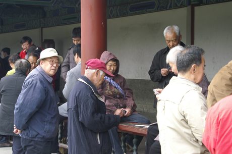 Photo 43