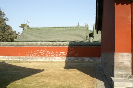Photo 219