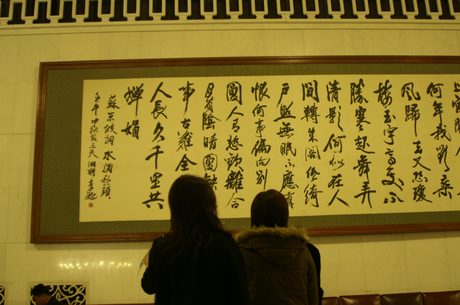 Photo 230