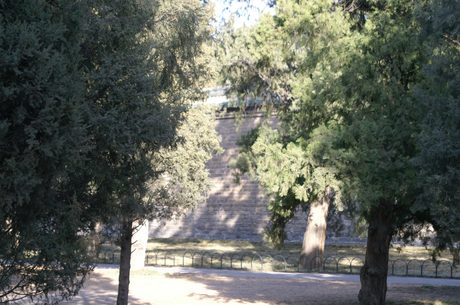 Photo 235