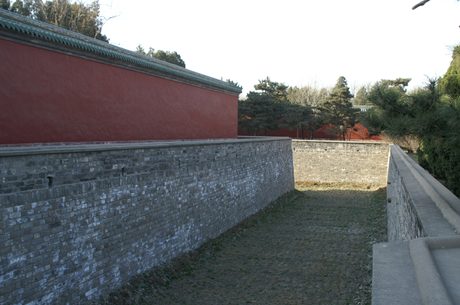 Photo 255