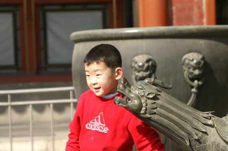 Photo 53