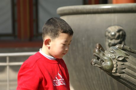 Photo 54