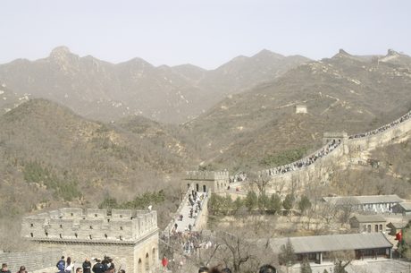 Photo 44