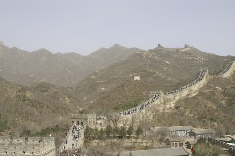 Photo 45