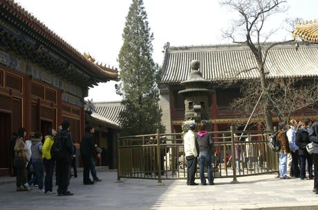 Photo 38