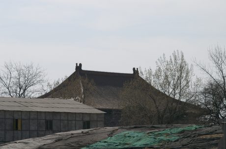 Photo 39