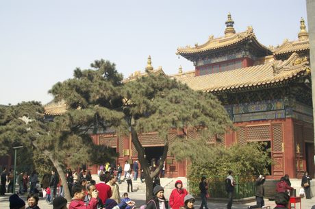 Photo 46