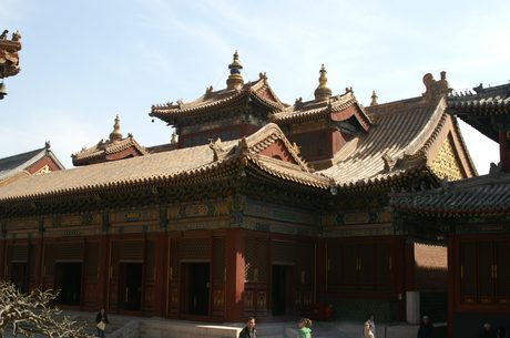 Photo 102