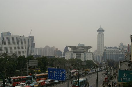 Photo 41