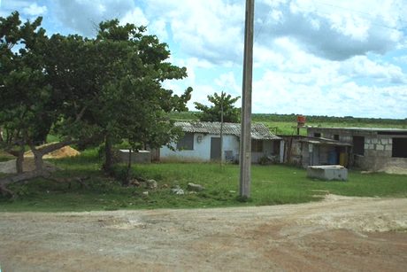 Photo 34
