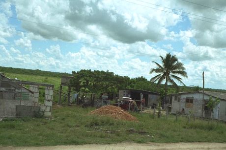 Photo 35
