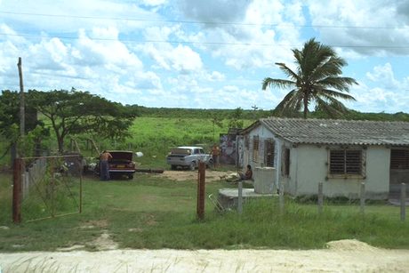Photo 36