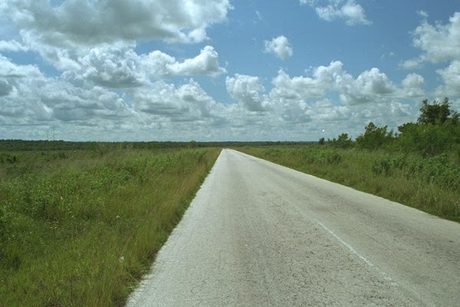 Photo 43