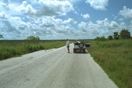 Photo 45